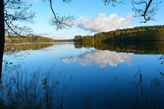 stille Seen