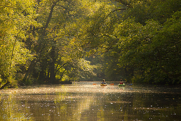 Wasserwege im Müritz-Nationalpark